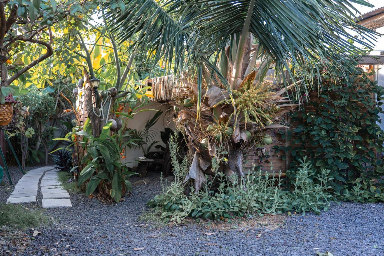 Douceur Tropicale Proximite Plage Et Commerces Punaauia  Εξωτερικό φωτογραφία
